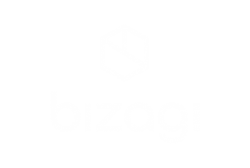 bizagi-consulting-partner-levio